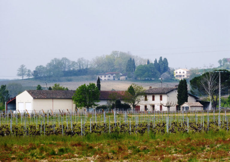 domaine-borie-vieille-domaine2