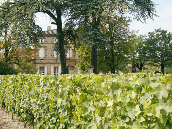 chateau-clement-termes-propriete