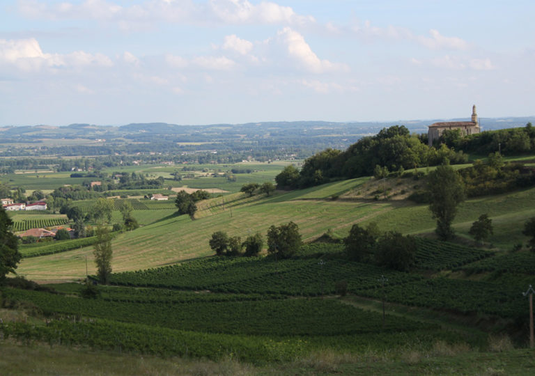 _wp-content_uploads_cfdb7_uploads_1593077323-vue-sur-les-vignes-et-sur-montaigut mini